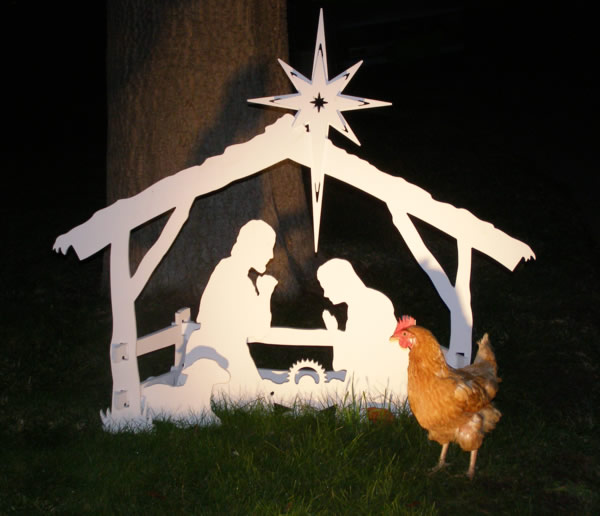 Nativity Chicken